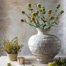 Scabiosa Spray Stem