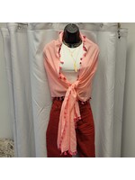 Light Pink Scarf with Pink Tassels (OS)Pre-owned