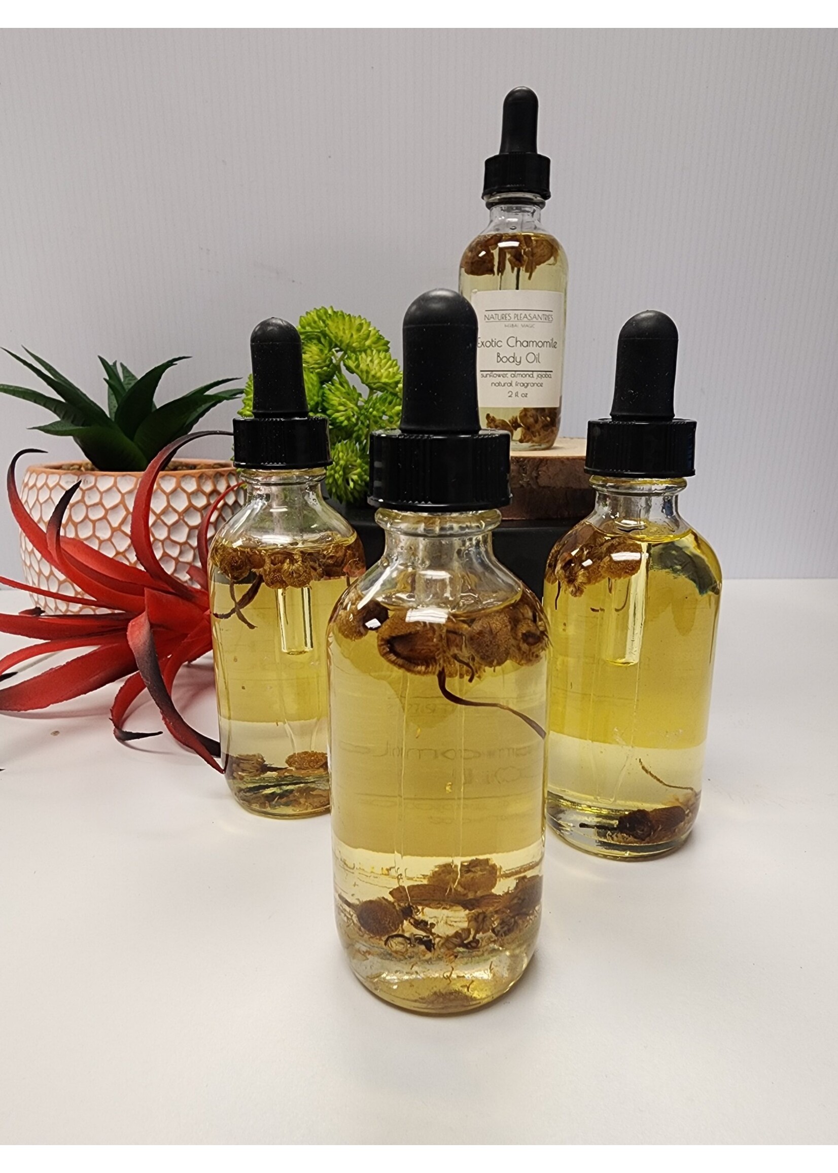 Natures Pleasantries 2 oz Signature Body Oil: Exotic Chamomile