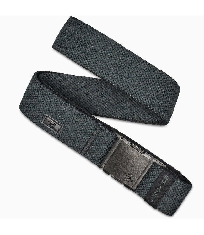 ARCADE CARY BELT