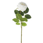 23.5" Real Touch Rose Stem, White