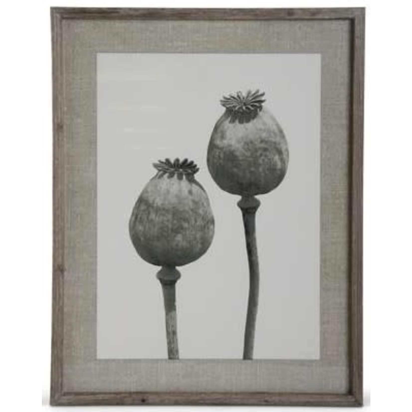 27.5" Wood Framed Floral Print Black/Gray/White
