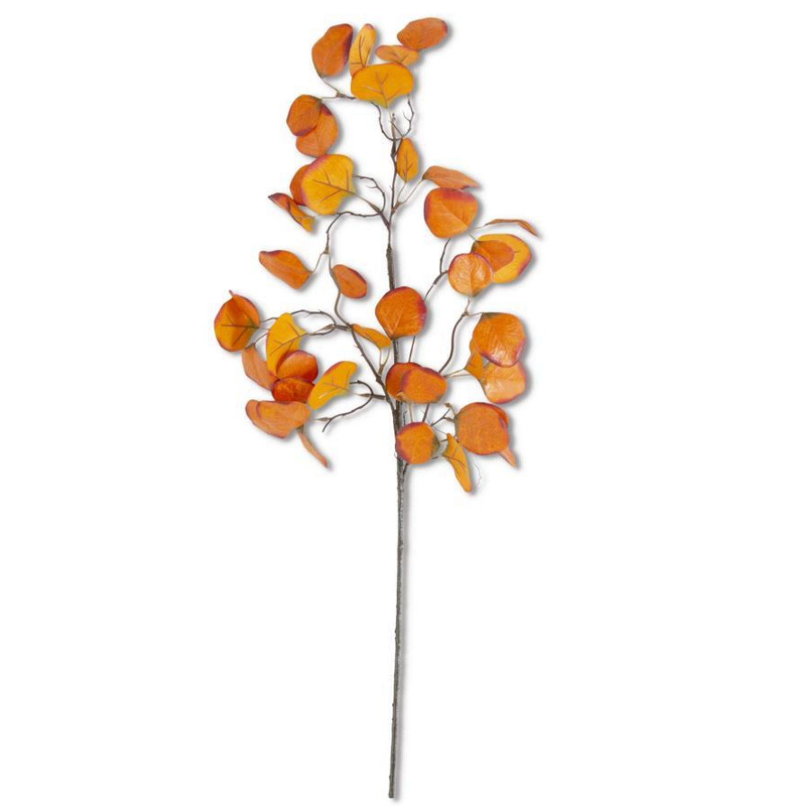 28" Stem Gumdrop Eucalyptus, Orange