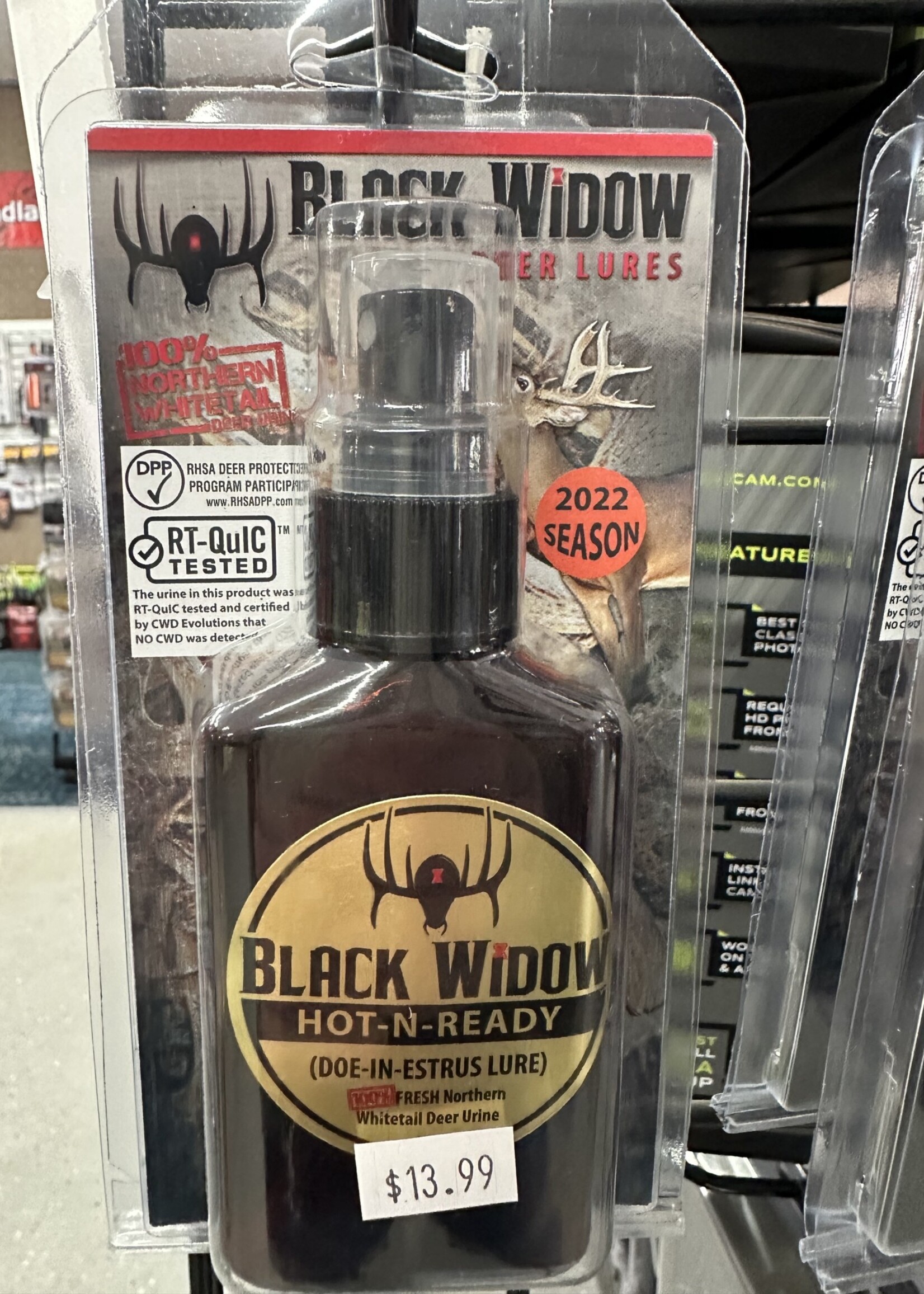 BlackWidow Black Widow Hot N Ready