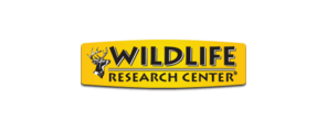 WILDLIFE RESEARCH