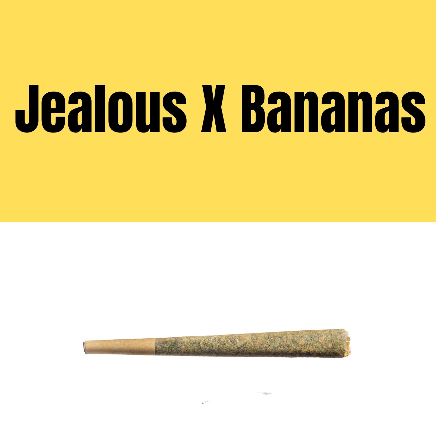 Jealous X Banana PreRoll (1 1/4)