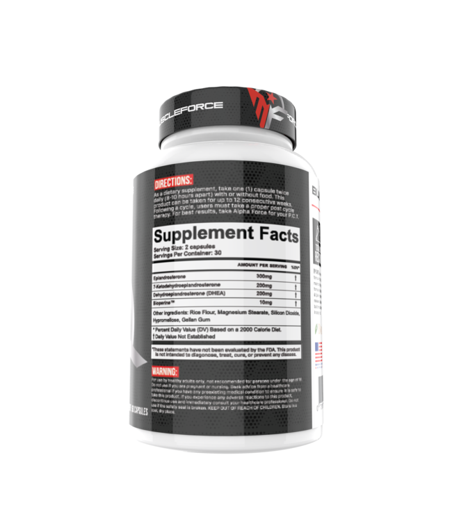 Muscle Force EPI-Shred