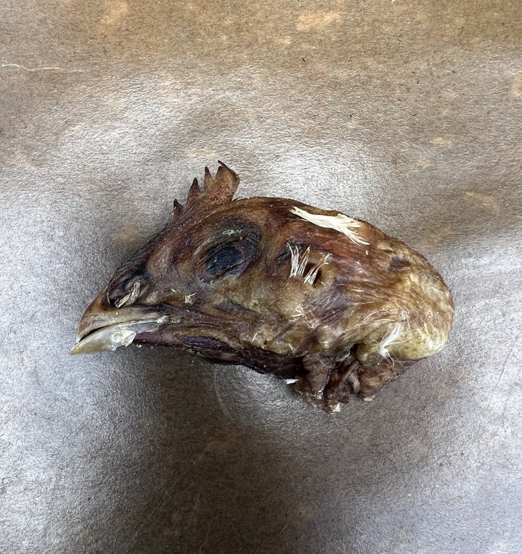 Proper K9 Proper K9 - Chicken Head - 1pc