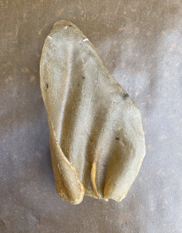 Nature's Own Nature's Own - Cow Ear - 1pc