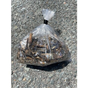 CHEWS CHEWS - Capelin Topper - 50g