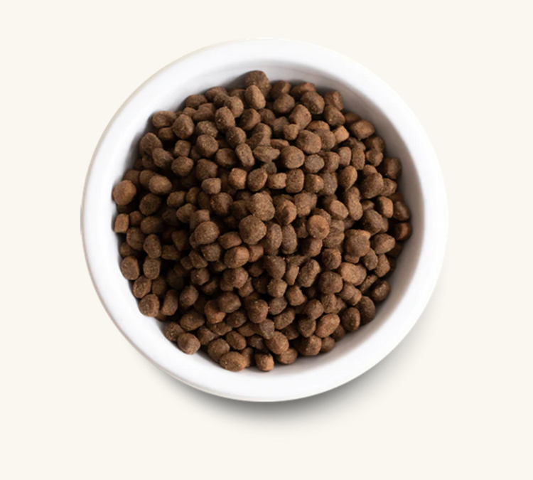 Open Farm Open Farm - Lamb