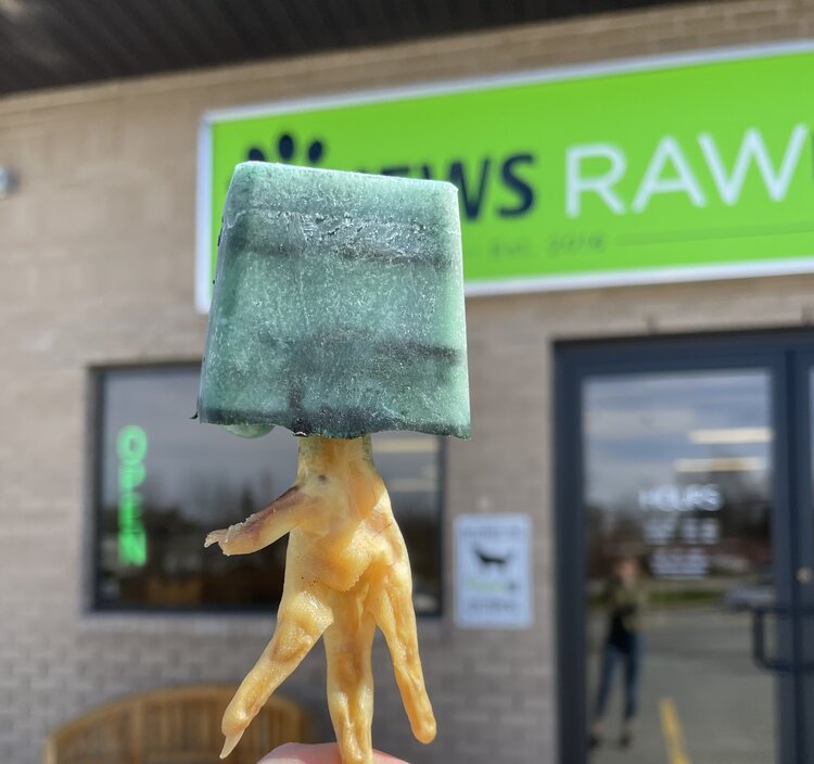 CHEWS CHEWS - Pupsicle