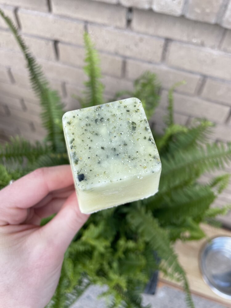 CHEWS CHEWS - Pupsicle