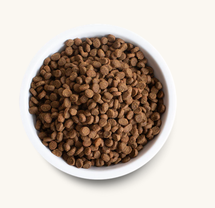 Open Farm Open Farm - CAT - Salmon