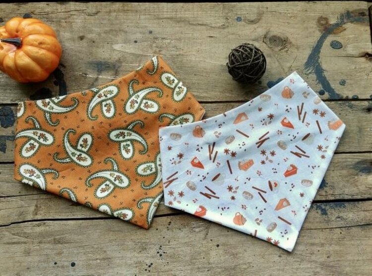 Bog Dog Bog Dog - Fall Bandana