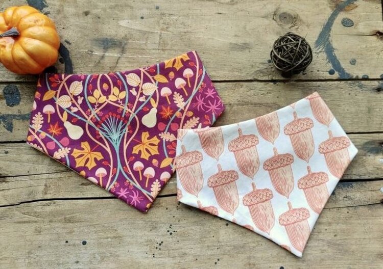 Bog Dog Bog Dog - Fall Bandana