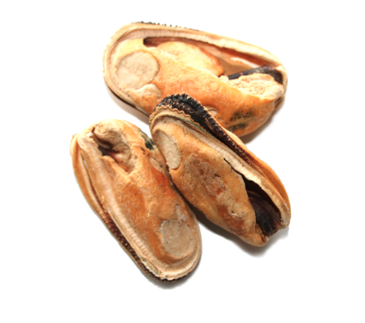 Woof Woof - NZ Green Lipped Mussels - 50g