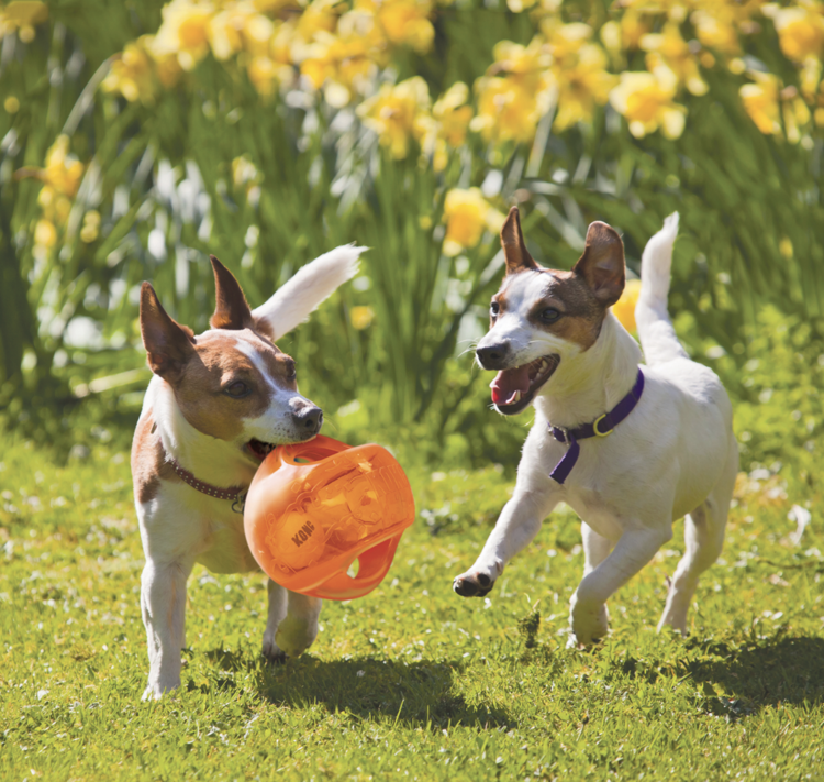 Kong Kong - Jumbler Ball