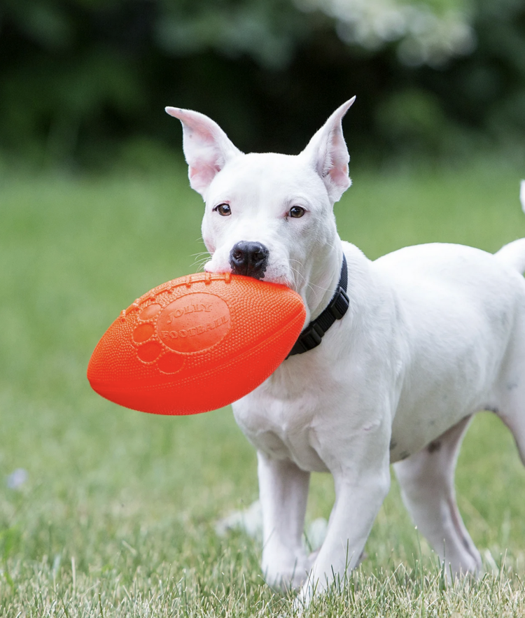 Jolly Pets Jolly Pets - Football - 8"