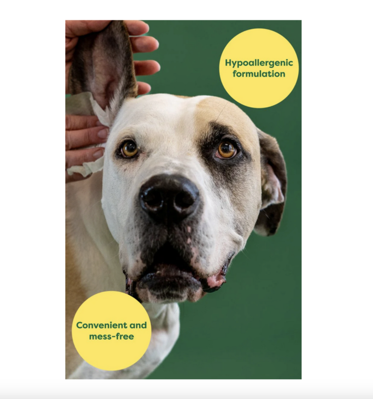 Earth Rated Earth Rated - Grooming Ear Wipes - 60ct