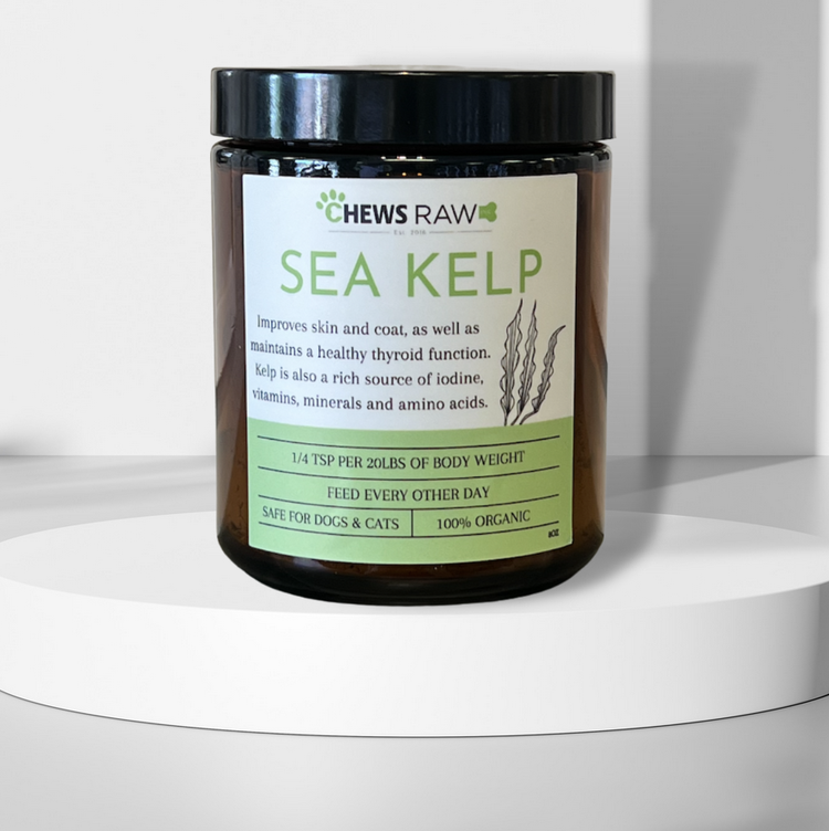 CHEWS CHEWS - Sea Kelp