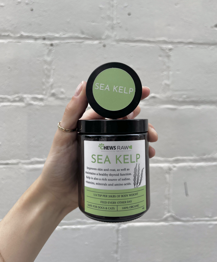 CHEWS CHEWS - Sea Kelp