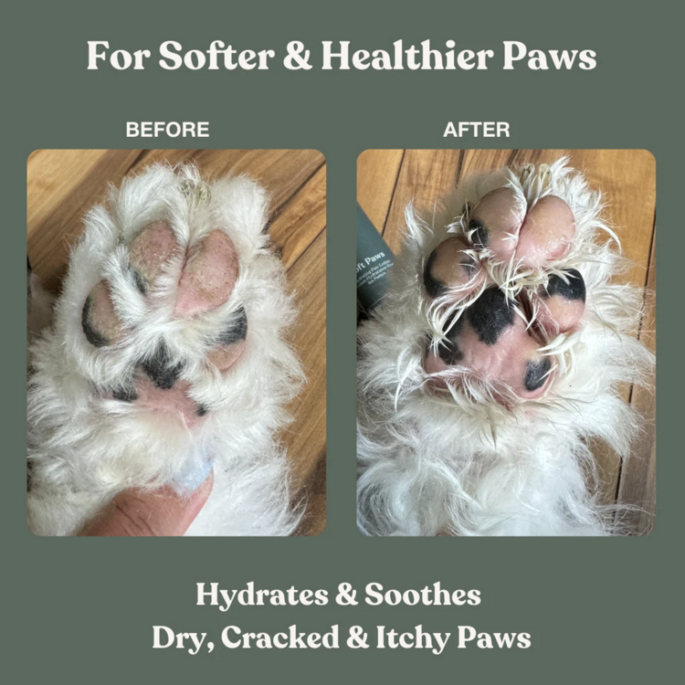 Dandylion Dandylion - Soft Paws Hydrating Lotion - 20ml