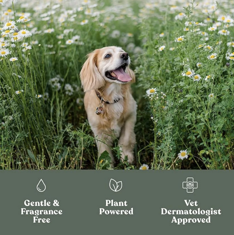 Dandylion Dandylion - Soft Paws Hydrating Lotion - 20ml