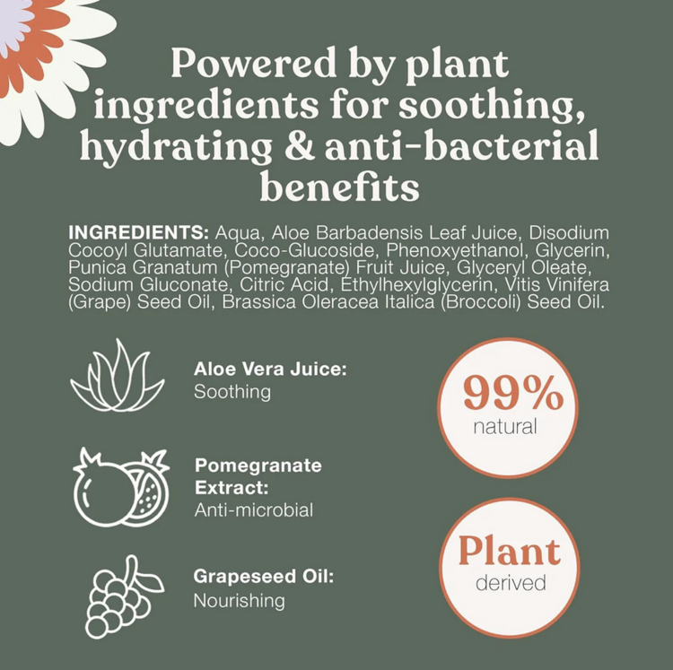 Dandylion Dandylion - Clean Paws Foaming Cleanser - 150ml