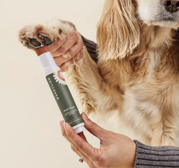 Dandylion Dandylion - Soft Paws Hydrating Lotion - 20ml - Refill