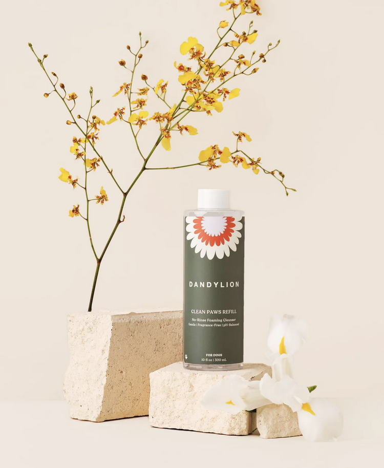 Dandylion Dandylion - Clean Paws Foaming Cleanser - Refill - 300ml