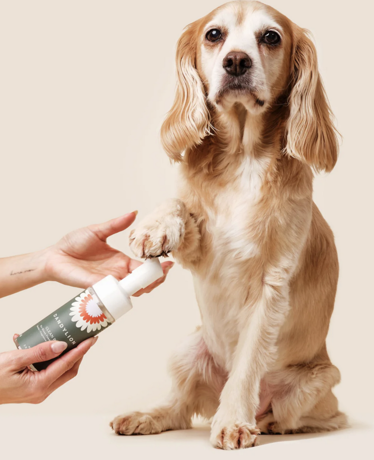 Dandylion Dandylion - Clean Paws Foaming Cleanser - Refill - 300ml