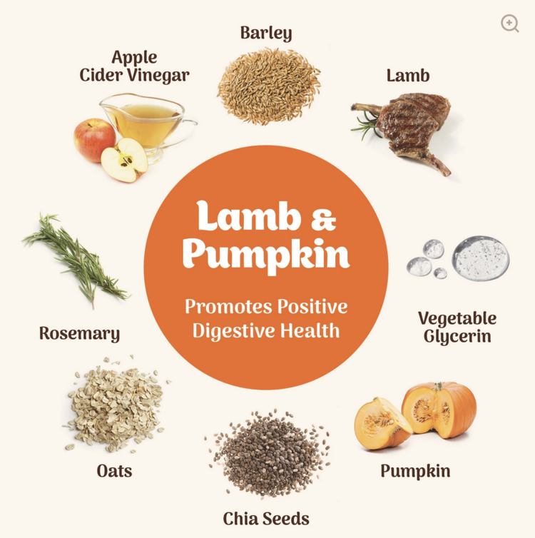 Northern Pet Northern Pet - Softies - Lamb & Pumpkin - 170g