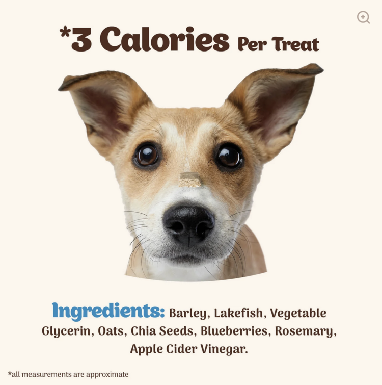 Northern Pet Northern Pet - Softies - Lamb & Pumpkin - 170g