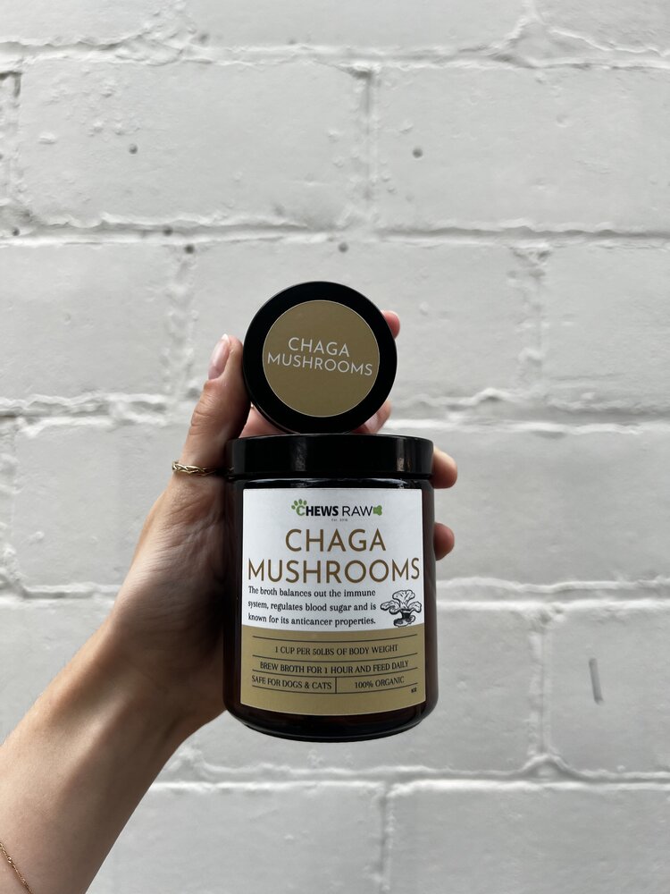 CHEWS CHEWS - Chaga Mushrooms