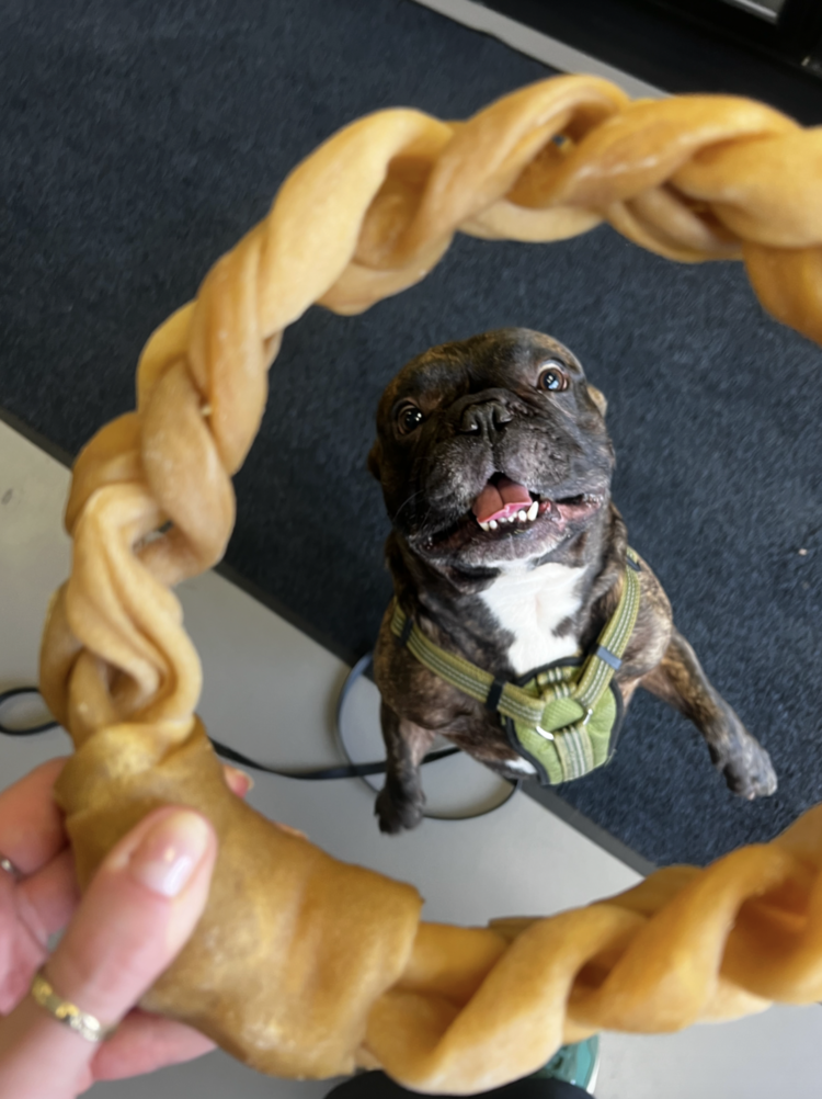 Nature's Own Nature's Own - Braided Buffalo Cheek Donut - 1pc