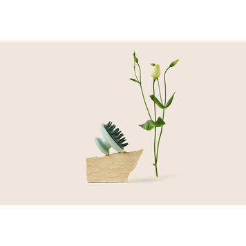 Dandylion Dandylion - Scrub Brush