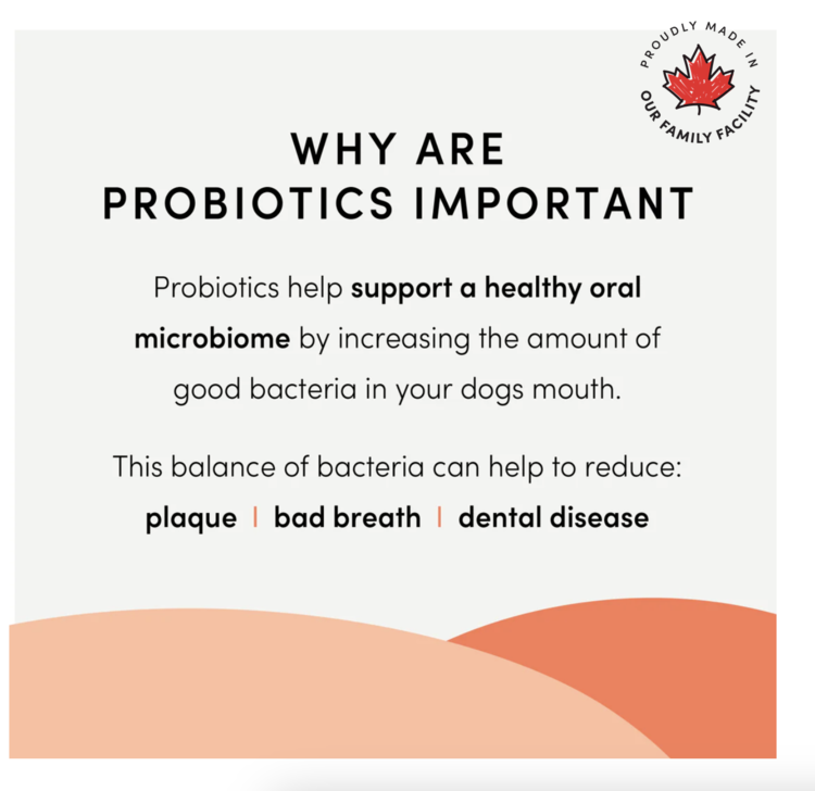 Crumps' Naturals Crumps - Plaque Busters - Advanced Whole Mouth - 10pk (7")