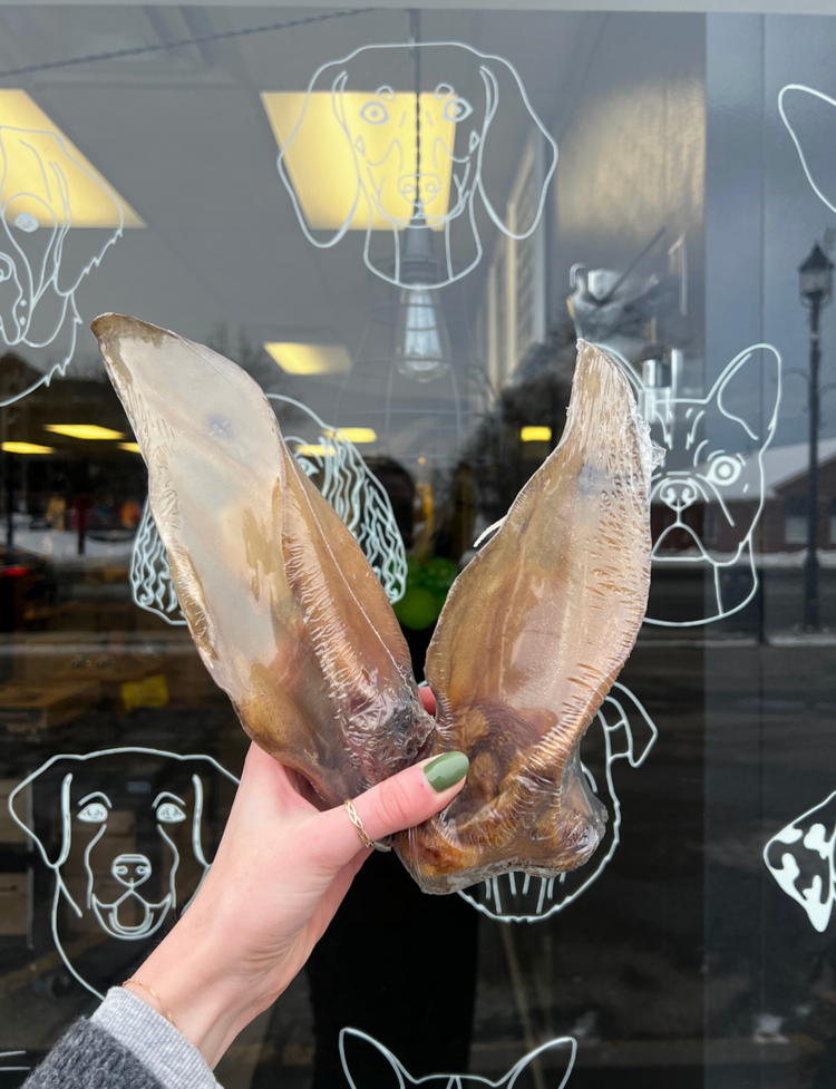 Nature's Own Nature's Own - Buffalo Ear - 1pc