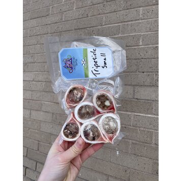 Crazy Dog Dehydrated Treats Crazy Dog - Tripesicle - 6pk