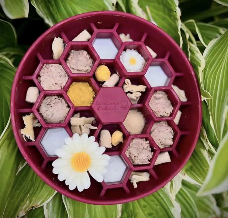 Blends for Life Blends for Life - Mushroom Fourmix - 120g