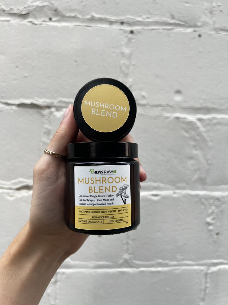 CHEWS CHEWS - Mushroom Blend