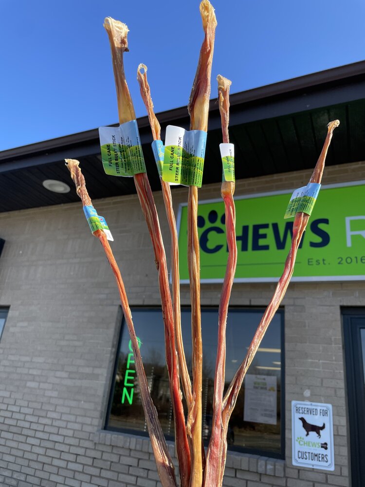 Nature's Own Nature's Own - Steer Bully Cane - 18-24"