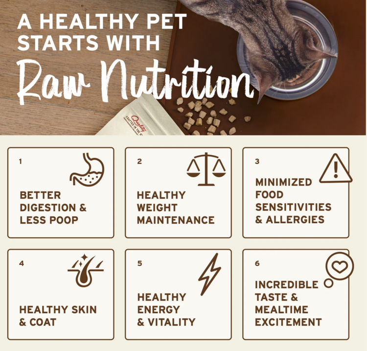 Primal Primal - CAT - Frozen Pronto - 1lb - Pork