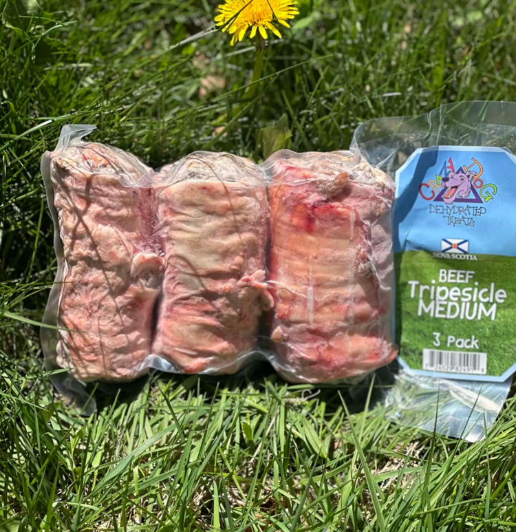 Crazy Dog Dehydrated Treats Crazy Dog - Tripesicle - Medium (3pk)