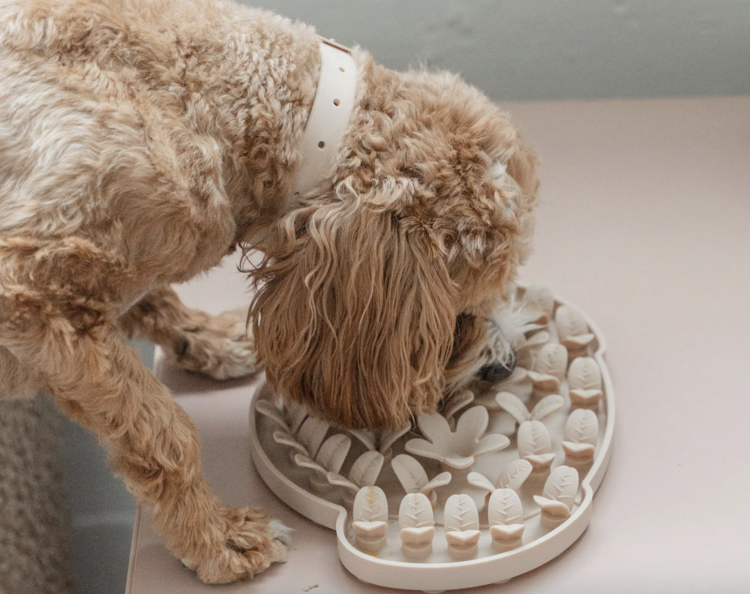 Dexy Paws Dexy Paws - Snuffle Mat - Beige Dog Head