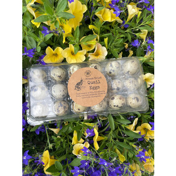 Health Mutts Health Mutts - Freeze Dried Quail Eggs - 18pk