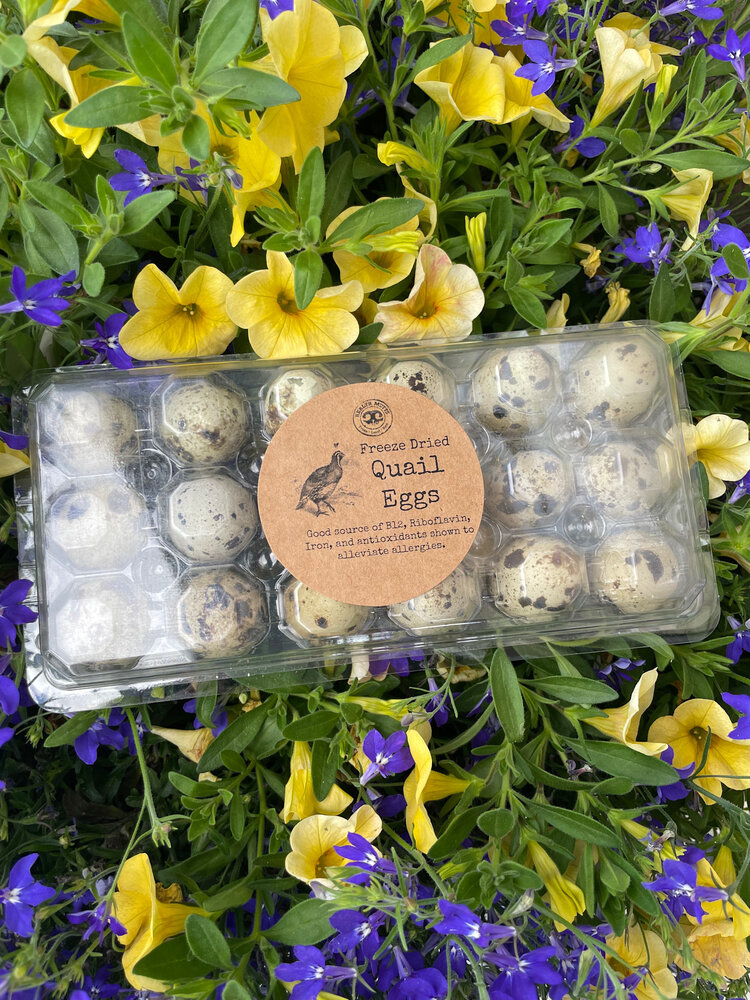 Health Mutts Health Mutts - Freeze Dried Quail Eggs - 18pk