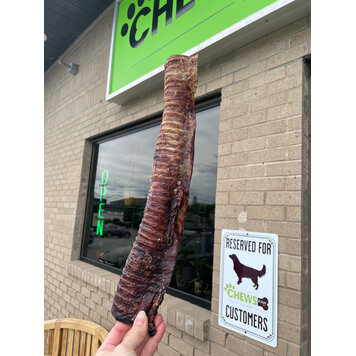 Barnies Barnies - Large Beef Trachea - 1pc