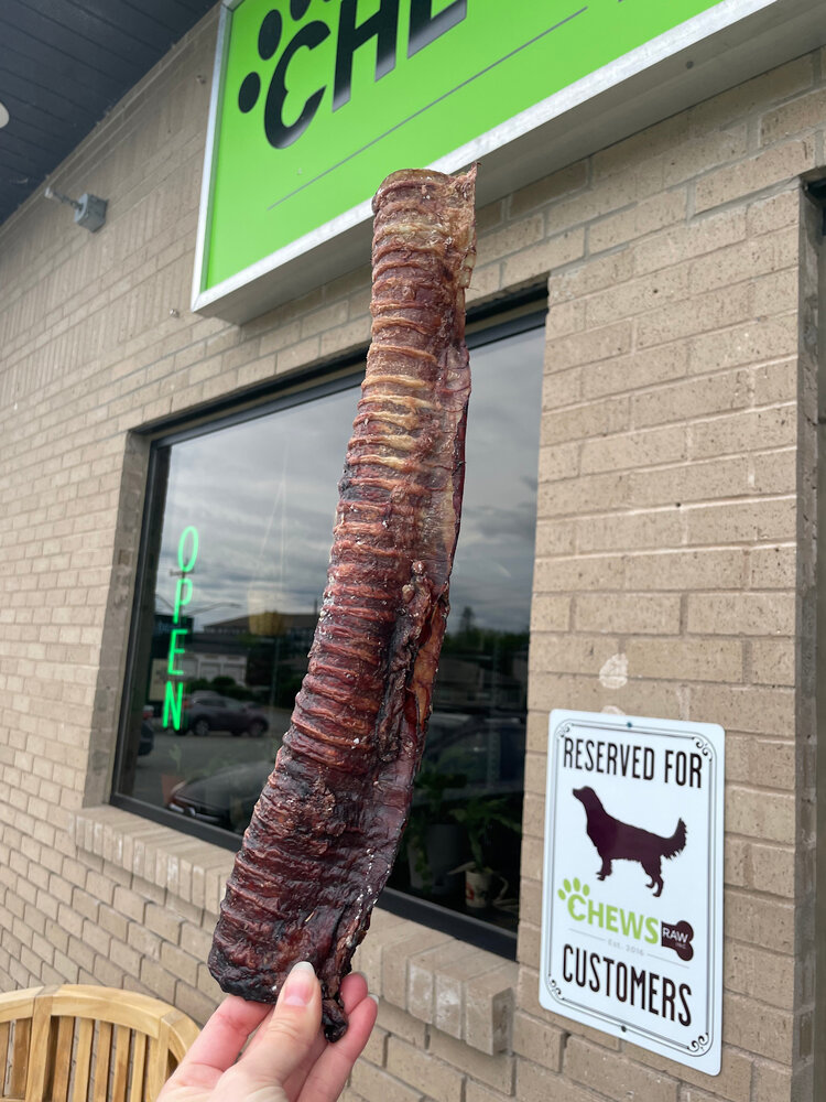 Barnies Barnies - Large Beef Trachea - 1pc